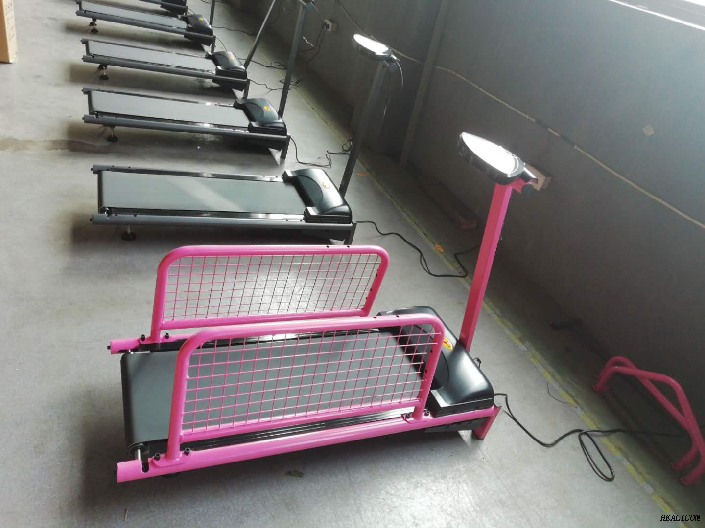 Prezzo di fabbrica tapis roulant elettrico per animali domestici WT-C100 in vendita